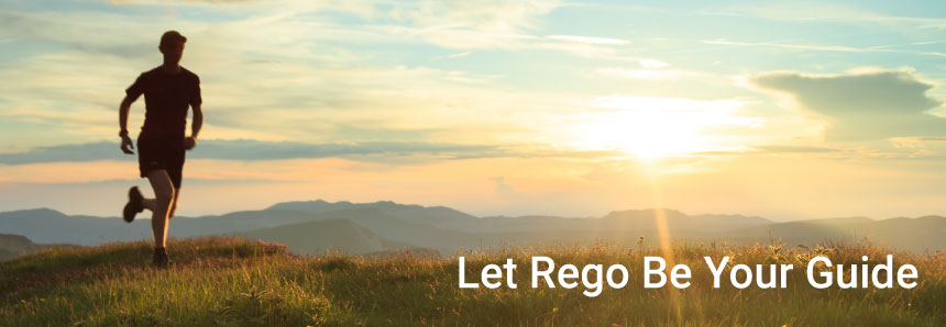 RegoX-Q2-Q3_footer Top Ten Portlet Downloads for RegoXchange