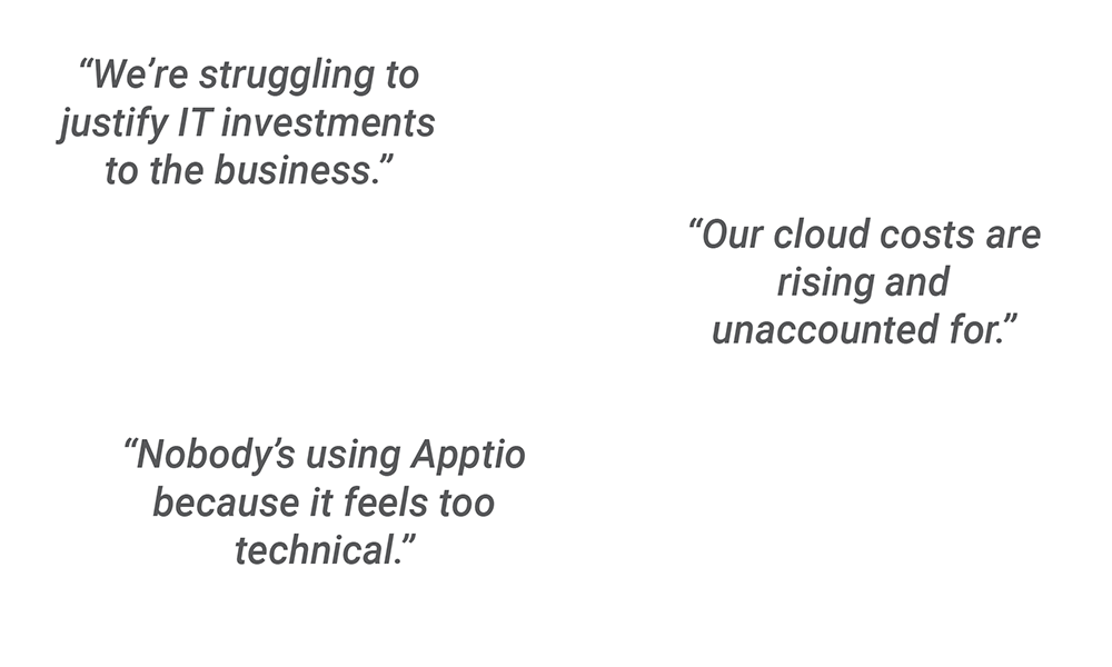Concerns-Apptio