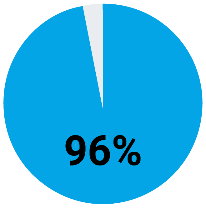Graphs-06 Pie chart showing 96% highlighted in blue, with a small remaining slice.